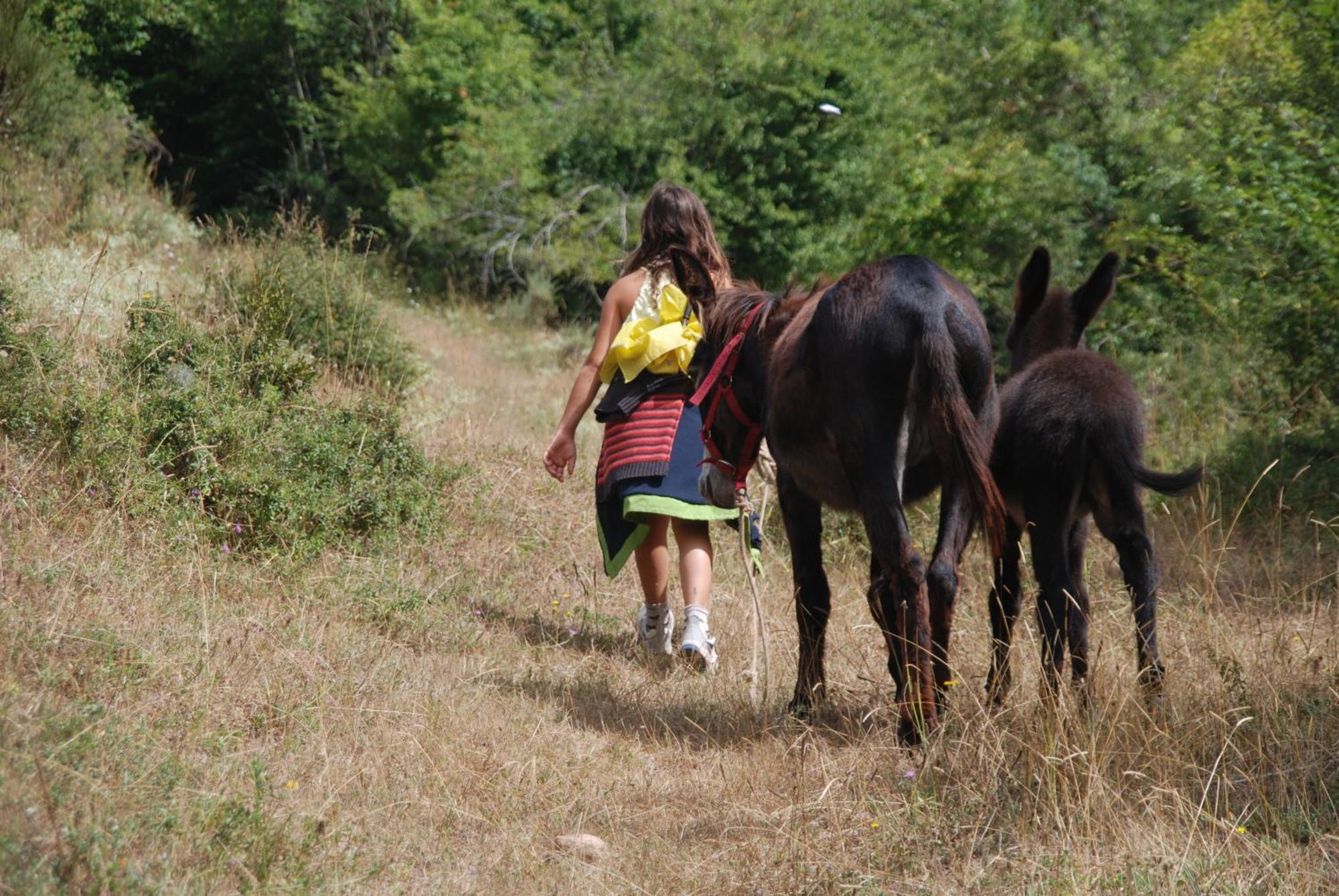 Agroturismo Mari Cruz Villanueva de Arce Luaran gambar